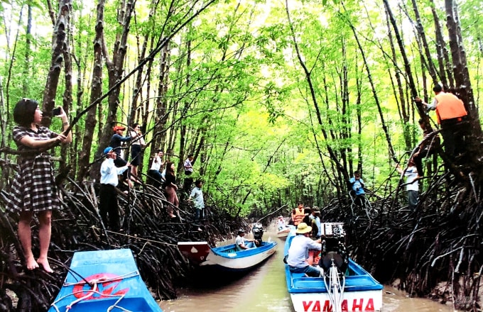 ca mau len ke hoach phuc hoi du lich sau dai dich covid 19 hinh 2