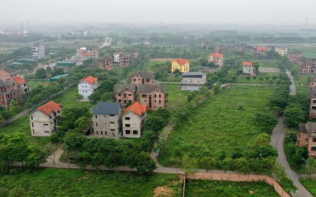pgs ts bui thi an co chuyen moc noi lay dat gia re roi om dat cho len gia huong loi hinh 1
