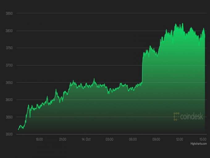 gia bitcoin hom nay 15 10 dung yen nhin altcoin bay hinh 1