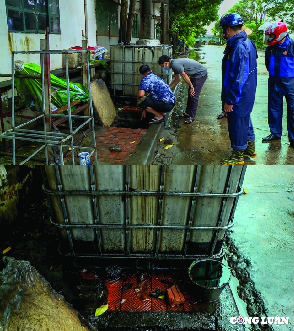 huyen phuc tho ha noi can canh dau thai xa trom ra ruong nhuom 1 mau den kit mui khet let hinh 12