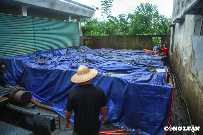 huyen phuc tho ha noi can canh dau thai xa trom ra ruong nhuom 1 mau den kit mui khet let hinh 14