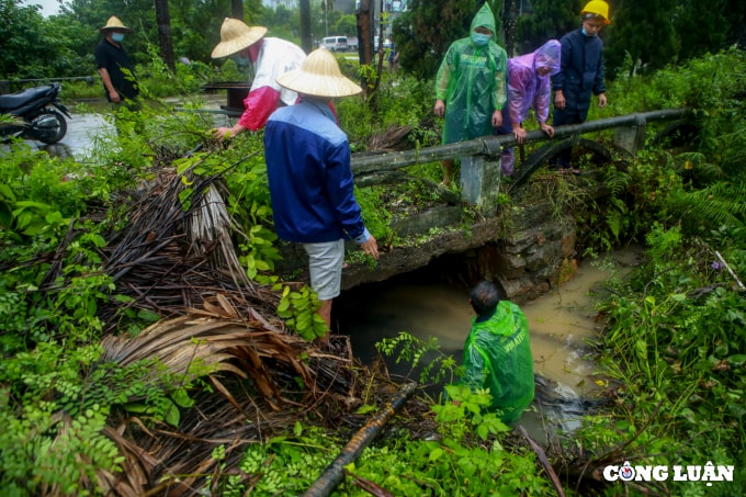 huyen phuc tho ha noi can canh dau thai xa trom ra ruong nhuom 1 mau den kit mui khet let hinh 20