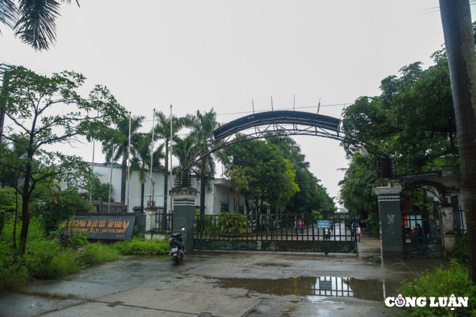 huyen phuc tho ha noi can canh dau thai xa trom ra ruong nhuom 1 mau den kit mui khet let hinh 21