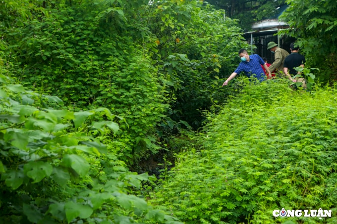 huyen phuc tho ha noi can canh dau thai xa trom ra ruong nhuom 1 mau den kit mui khet let hinh 17