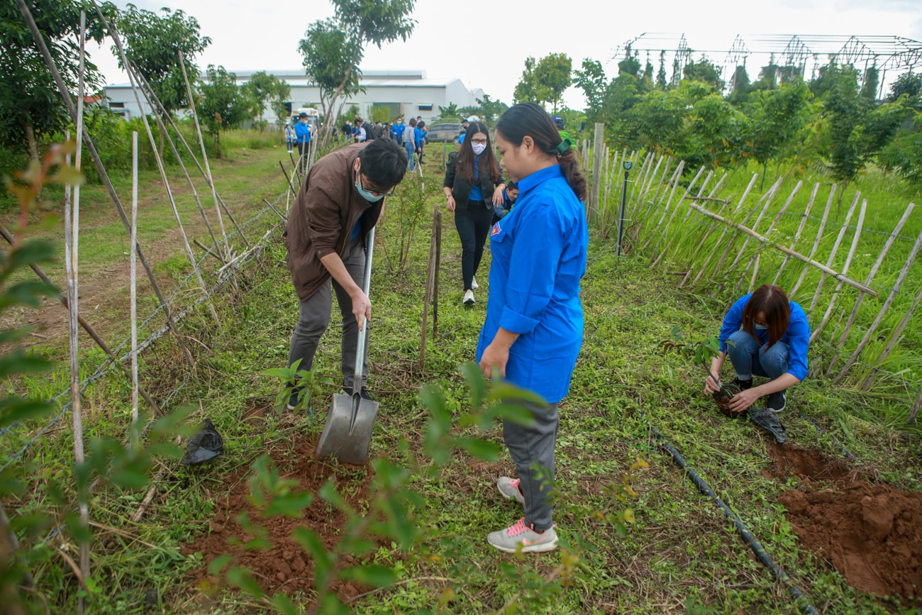 tuoi tre thanh nien co quan trung uong hoi nha bao viet nam phat huy tinh than xung kich cong hien hinh 10
