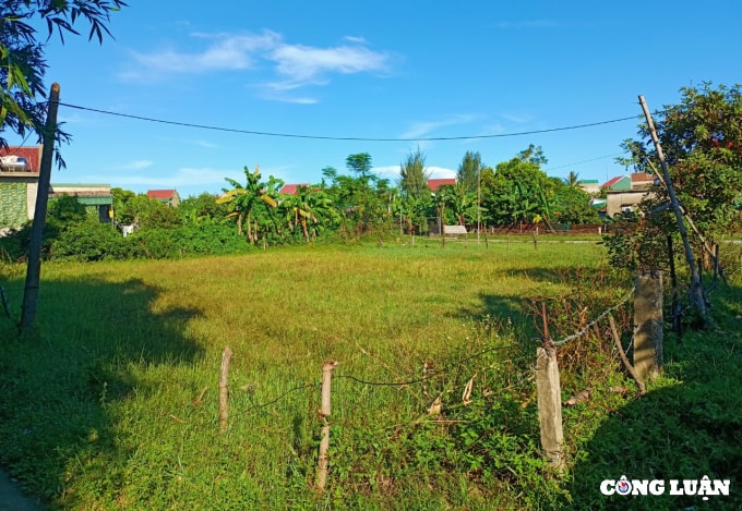 vu chuyen doi dat nong nghiep thanh dat o huyen nghi xuan thanh lap doan kiem tra hinh 2