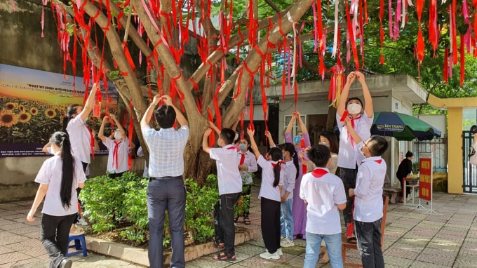 hoc sinh thich thu ve cay dieu uoc giua san truong hinh 1