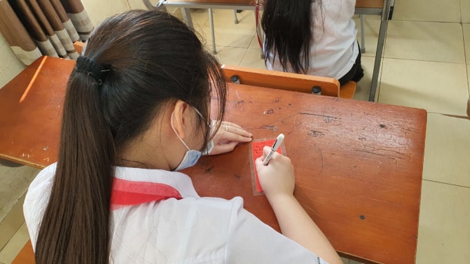 hoc sinh thich thu ve cay dieu uoc giua san truong hinh 4