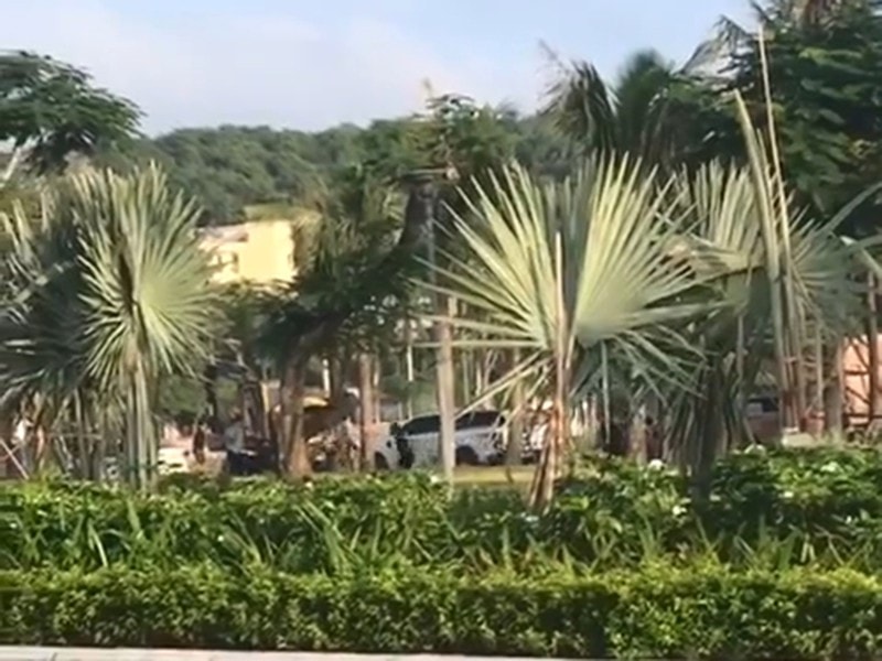 hon chien tren pho do son hai phong khien mot nguoi chet 2 nguoi bi thuong hinh 1