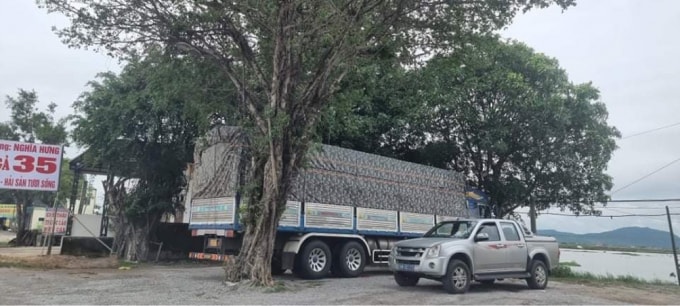 kiem lam co dong tam giu xe cho hang co dung quy dinh hinh 2