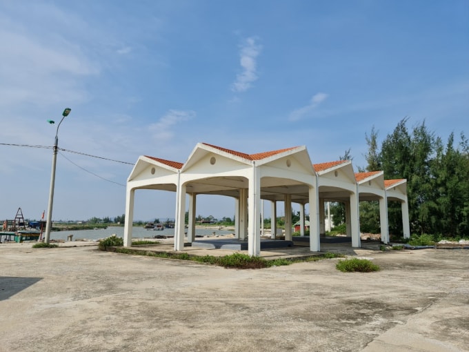 thanh hoa du an hang chuc ty dong trum men phoi suong phoi nang hinh 2