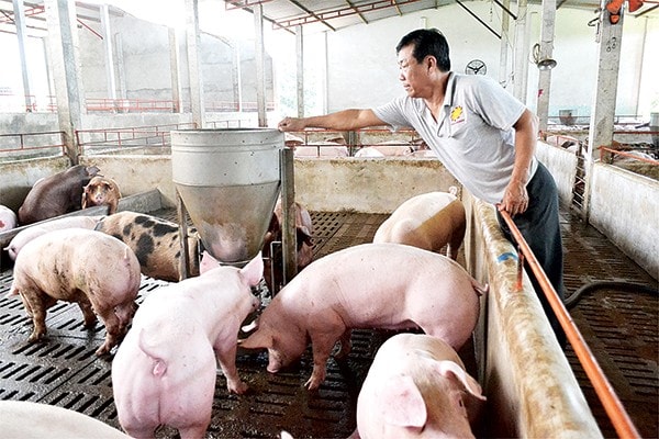 bo tai chinh de xuat mo rong dia ban ho tro bao hiem nong nghiep hinh 1