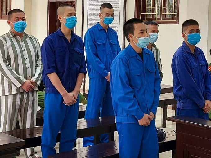 thai binh con nuoi duong nhue cung dong pham linh an hon 40 nam tu hinh 1