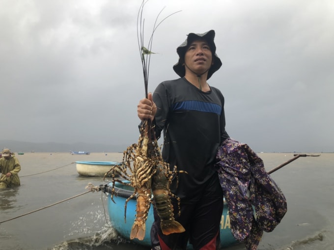 phu yen tom hum chet hang loat nguoi nuoi thiet hai tien ty hinh 2
