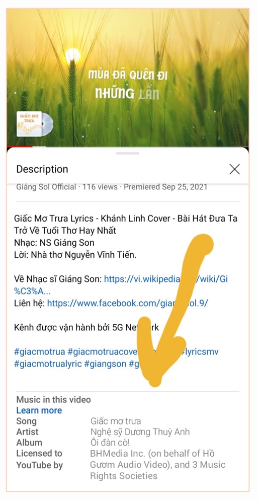 nhac si giang son co bi danh gay ban quyen ca khuc tren youtube hinh 4