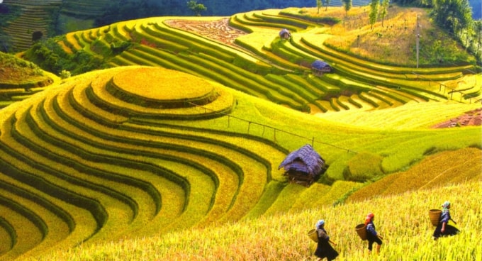 mo cua don khach du lich quoc te phai quyet liet va nhanh chong hinh 1
