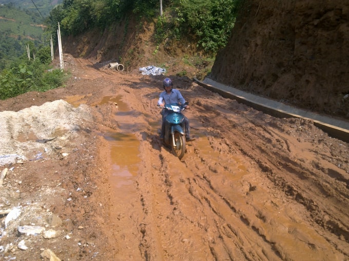 tim ra ban chat van de kien nghi chinh sach sao cho rung khong tiep tuc bi tan pha hinh 2