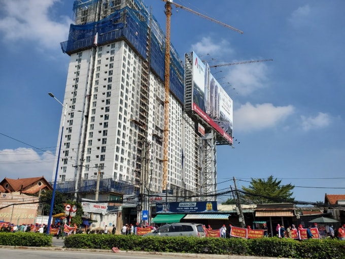 chu dau tu doi van phong khach hang mua nha tai du an roxana plaza lo mat trang hinh 1