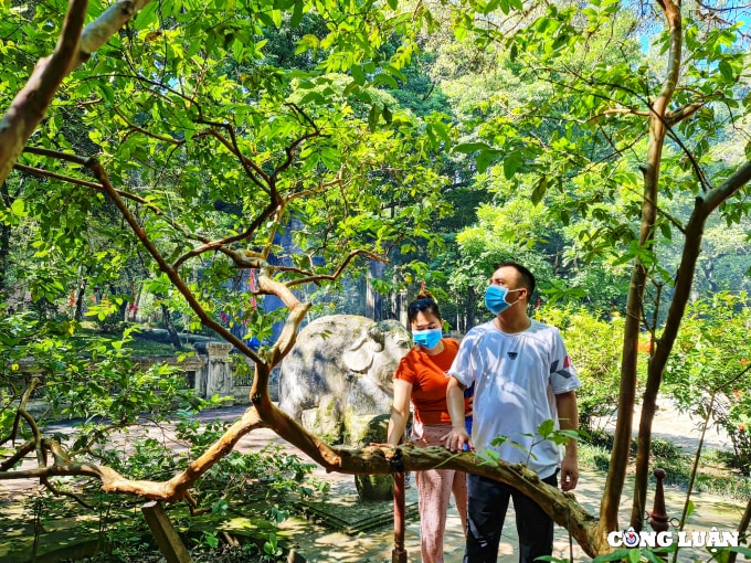 khu di tich lich su lam kinh diem du lich van hoa thu hut du khach hinh 3