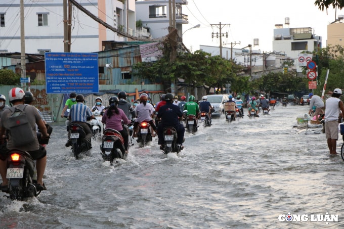 tp hcm ngap nang nguoi dan ra duong cau ca hinh 2