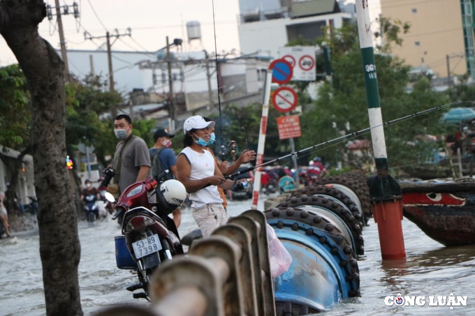 tp hcm ngap nang nguoi dan ra duong cau ca hinh 10