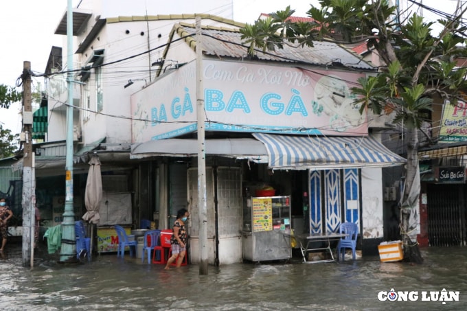 tp hcm ngap nang nguoi dan ra duong cau ca hinh 14