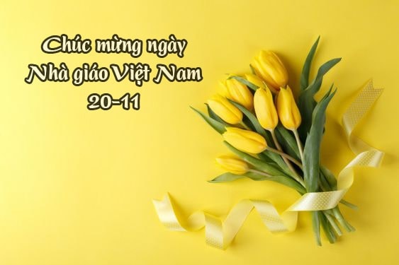 nhung loi chuc hay ngay nha giao viet nam 20 11 hinh 1