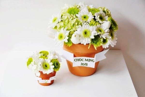 nhung loi chuc hay ngay nha giao viet nam 20 11 hinh 10