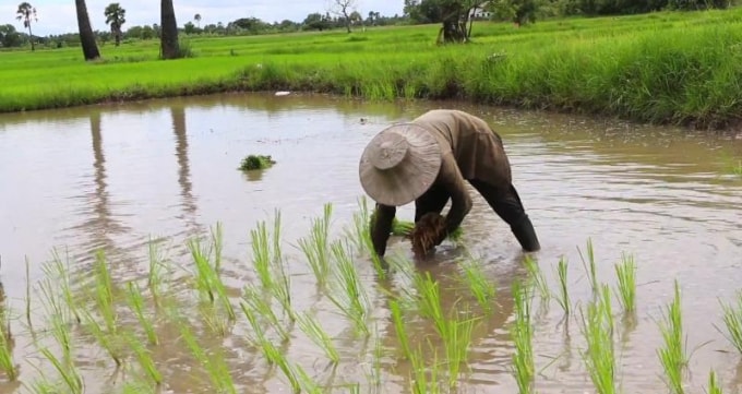 phat hien moi ve nguon goc cac ngon ngu nhat ban han quoc va tho nhi ky hinh 1
