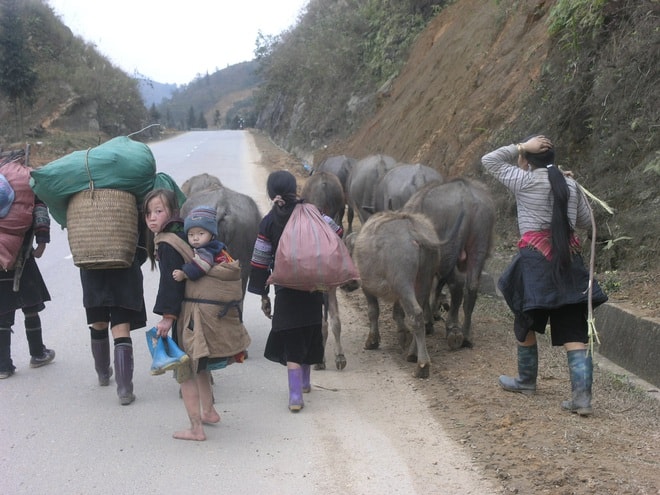lao cai sa pa nhiet do giam sau chi con 77 do c hinh 1