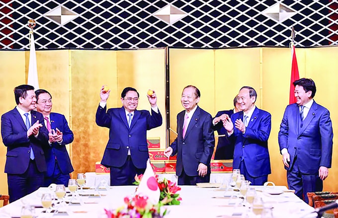 viet nam nhat ban cung mo ra mot giai doan phat trien moi hinh 1