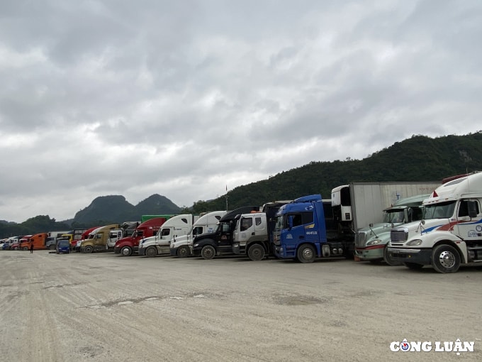 tong cuc hai quan trung quoc chuan hoa cac ho so xuat nhap khau hinh 1