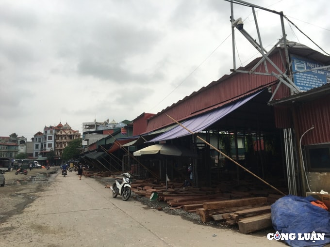ubnd phuong phu khe hau thuan phan lo dat nong nghiep lap cho buon ban go trai phep hinh 2