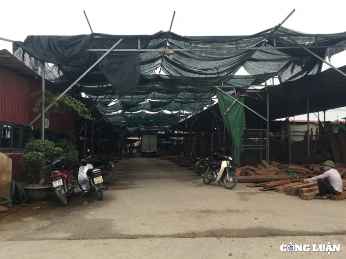 ubnd phuong phu khe hau thuan phan lo dat nong nghiep lap cho buon ban go trai phep hinh 3