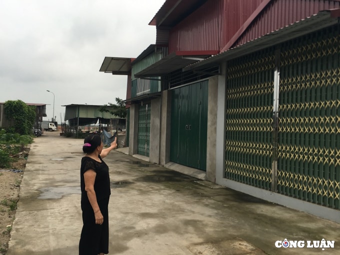 ubnd phuong phu khe hau thuan phan lo dat nong nghiep lap cho buon ban go trai phep hinh 4