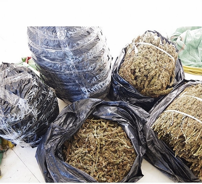 bo doi bien phong bat giu gan 34kg nghi can sa kho hinh 1