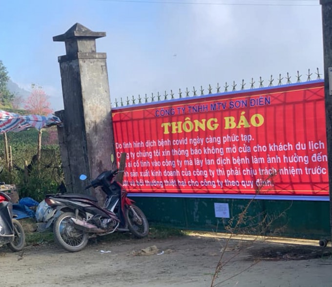 do covid 19 cam du khach tham doi hoa anh dao dep nhat sa pa hinh 2