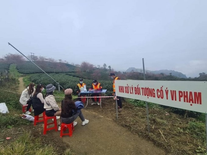 do covid 19 cam du khach tham doi hoa anh dao dep nhat sa pa hinh 3