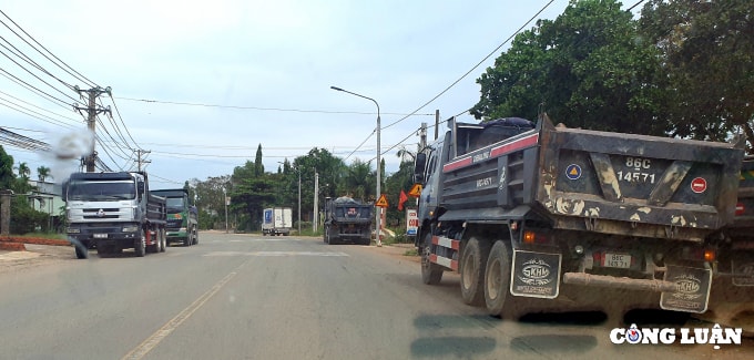 xe ben cho dat cat un un tu trong rung cao su o binh thuan hinh 4