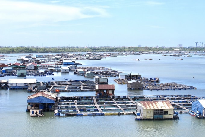 tong cuc thuy san canh bao nguy co mat an toan voi cac ho nuoi thuy san long be mua mua lu hinh 1