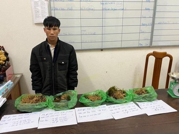 bat giu doi tuong thuc hien hang loat vu trom sam ngoc linh hinh 1
