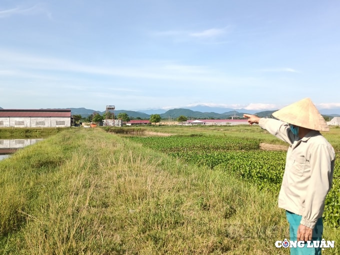 trai lon chui buc tu moi truong o ha tinh cong ty tnhh khanh giang bi phat gan 15 ty dong hinh 1