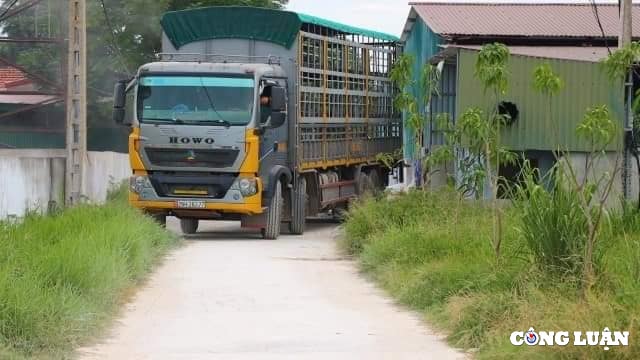 trai lon chui buc tu moi truong o ha tinh cong ty tnhh khanh giang bi phat gan 15 ty dong hinh 4