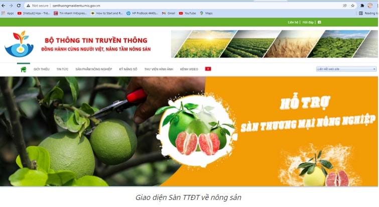 bo thong tin va truyen thong ra mat cong thong tin dien tu ho tro san xuat nong nghiep hinh 1