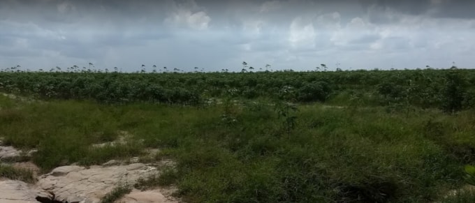 khong huong dan khong tra loi roi dot ngot thu hoi gan 600ha dat cua doanh nghiep hinh 2