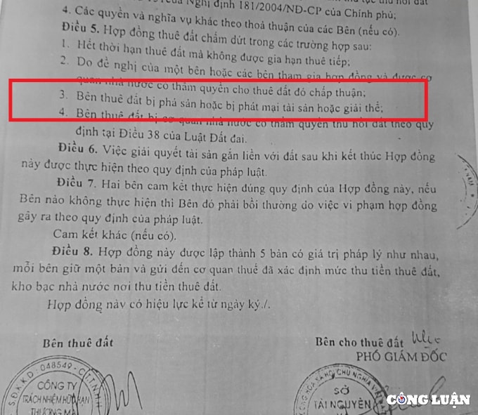 khong huong dan khong tra loi roi dot ngot thu hoi gan 600ha dat cua doanh nghiep hinh 3