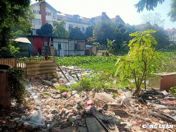 ho ngoi cau trai bi lan chiem vi sao sau nhieu nam chua xu ly het vi pham hinh 4