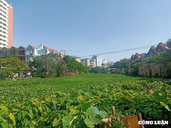 ho ngoi cau trai bi lan chiem vi sao sau nhieu nam chua xu ly het vi pham hinh 7