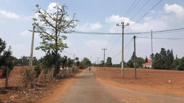 pho chu tich huyen o gia lai bi khoi to vi cho chuyen doi dat trai quy dinh hinh 1