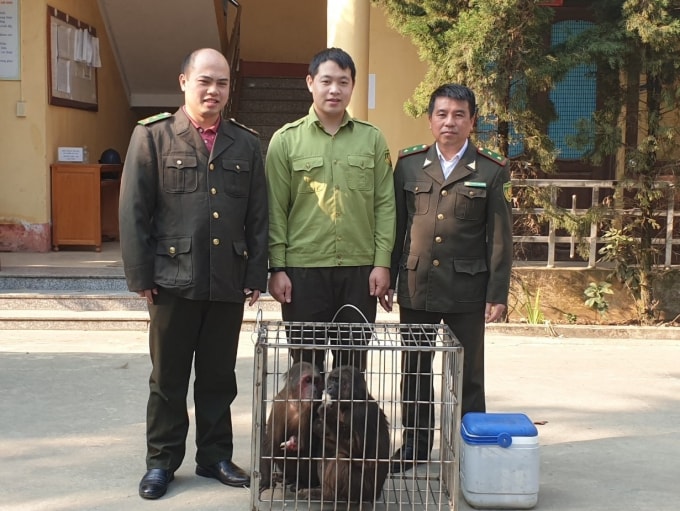 lao cai tiep nhan nhieu thu hoang da quy do nguoi dan tu nguyen giao nop hinh 1